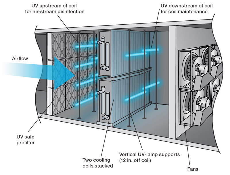 UV lighting in building infection control: Can passive light safely kill  coronavirus?